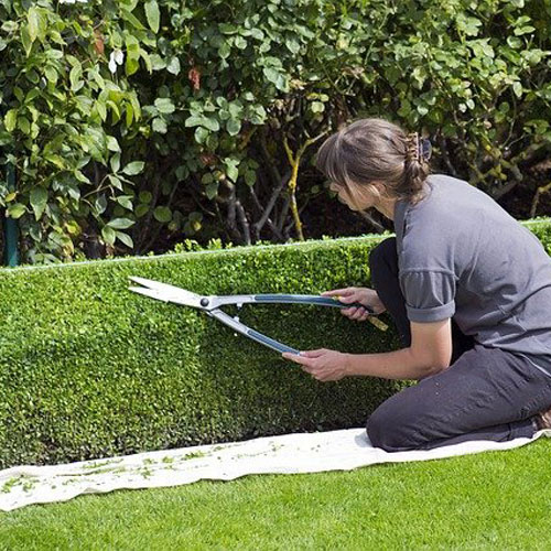 CAPa Jardinier Paysagiste