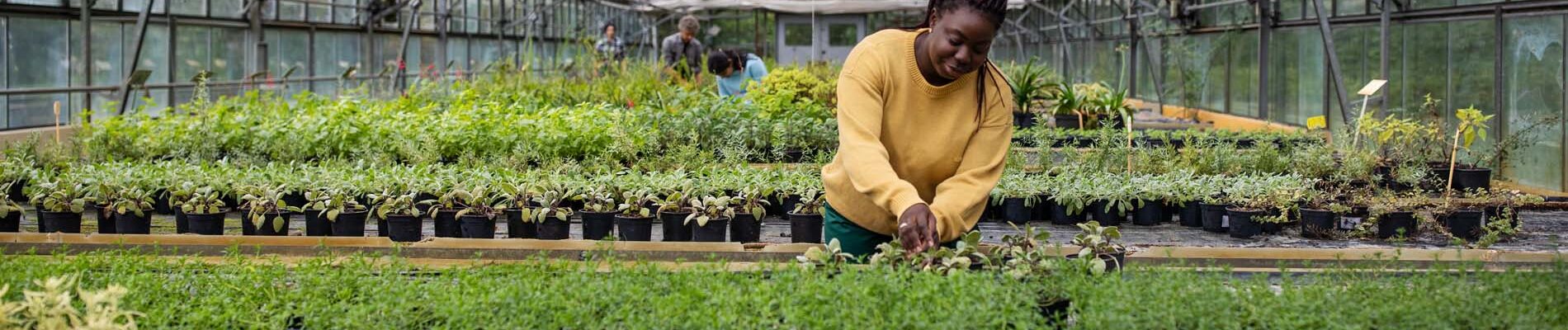 Woman taking care of plants at garden center